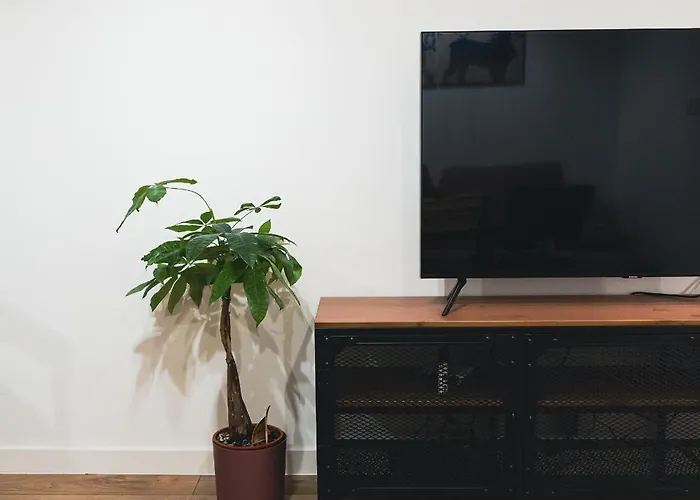 公寓 Przycup W Karkonoszach - Fika - Klimatyczny W Centrum Miasta 耶莱尼亚古拉